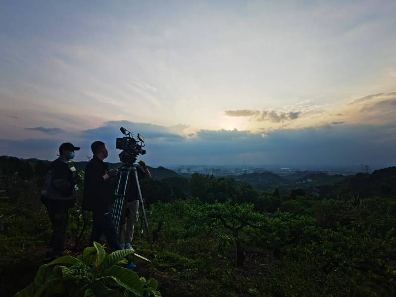 聚焦宁乡县产品宣传视频拍摄公司，用专业实力铸就品牌传播传奇