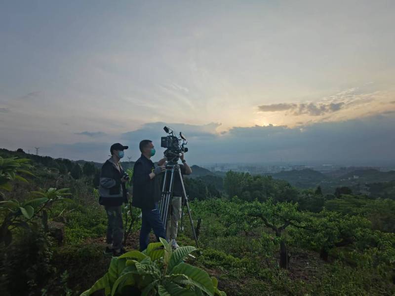 创意破圈！宁乡县电商产品宣传视频用故事化叙事引爆流量