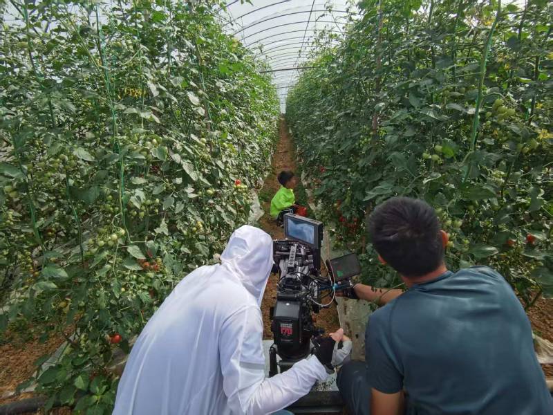 宁乡县产品宣传视频拍摄公司进阶指南，助力品牌抢占传播高地